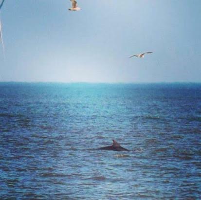 Sandridge Villa Newbiggin by the Sea Bagian luar foto